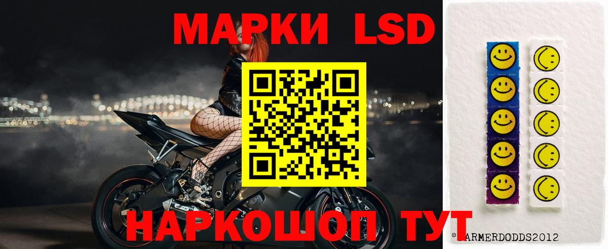 Галлюциногенные грибы Тихвин