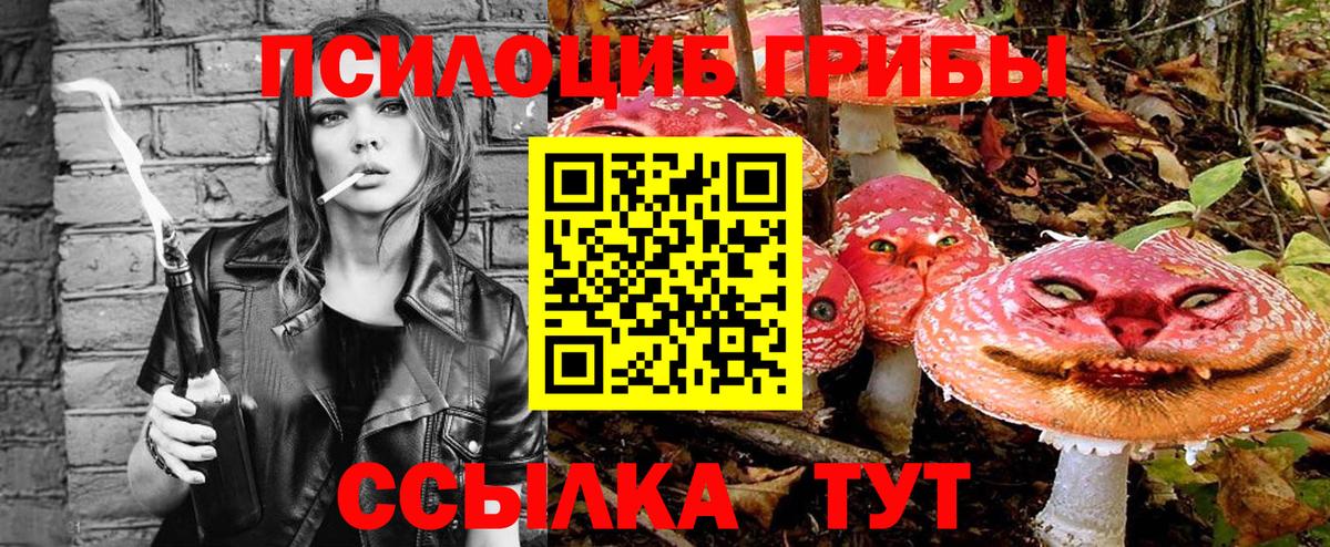 Псилоцибиновые грибы прущие грибы  продажа наркотиков  Галлюциногенные грибы Cubensis  Тихвин  Вход с VPN 